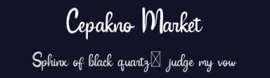 Cepakno Market by Chamdan Chakim — Script Handwritten Font — thumbnail 2