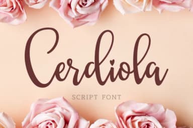 Cerdiola Font by Keithzo (7NTypes) — Script Handwritten Font — thumbnail 1