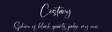 Cestany by Integritype Studio — Script Handwritten Font — thumbnail 2