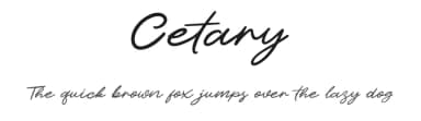 Cetary by Khurasan — Script Handwritten Font — thumbnail 1