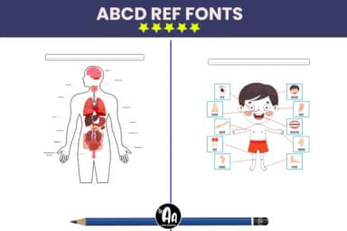 Abcd Ref Body Parts Organs by AntarArt — Dingbats Font — thumbnail 3