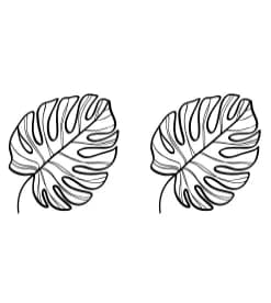 Abstract Boho by PraewDesigns — Dingbats Font — thumbnail 8