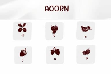 Acorn by Ketsarin — Dingbats Font — thumbnail 4