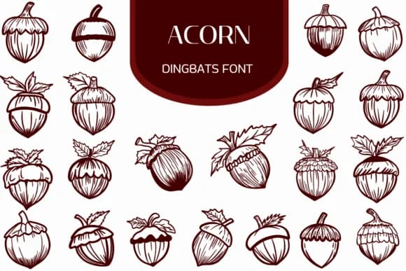 Acorn by Heartcraft Atelier — Dingbats Font