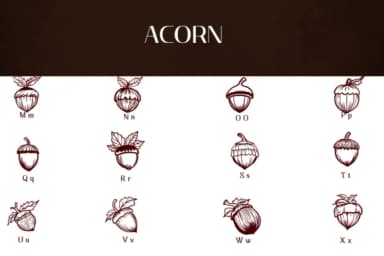 Acorn by Heartcraft Atelier — Dingbats Font — thumbnail 3