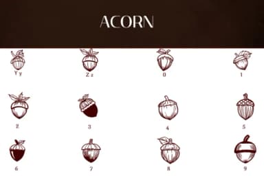 Acorn by Heartcraft Atelier — Dingbats Font — thumbnail 4