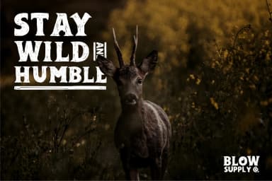 Adelard by Garisman Studio — Slab Serif Font — thumbnail 2