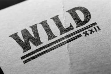 Adelard by Garisman Studio — Slab Serif Font — thumbnail 3