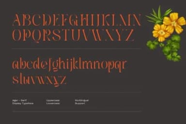 Ager by Sigit Dwipa — Slab Serif Font — thumbnail 6