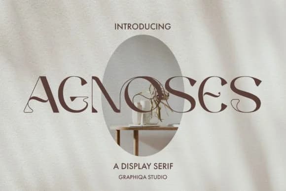 Agnoses by graphiqa — Slab Serif Font
