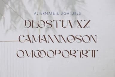 Agnoses by graphiqa — Slab Serif Font — thumbnail 4