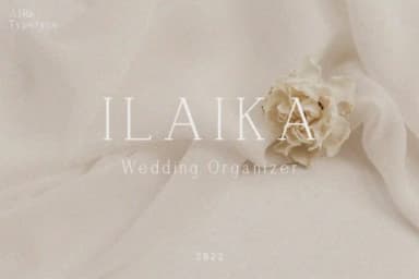 Airo by Trotoart Design — Slab Serif Font — thumbnail 3