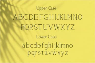 Airo by Trotoart Design — Slab Serif Font — thumbnail 5