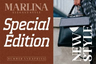 Alexside by Letterena Studios — Slab Serif Font — thumbnail 4