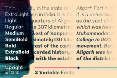 Aligarh by namelatype — Slab Serif Font — thumbnail 2