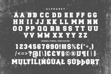 Alona Sporty by Feri (7NTypes) — Slab Serif Font — thumbnail 4