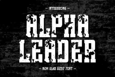 Alpha Leader by Jasa (7NTypes) — Slab Serif Font — thumbnail 1