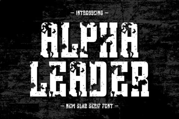 Alpha Leader by Jasa (7NTypes) — Slab Serif Font