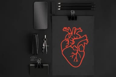 Anatomical Heart 1 by CHANOK — Dingbats Font — thumbnail 5