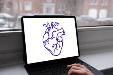 Anatomical Heart 1 by CHANOK — Dingbats Font — thumbnail 6