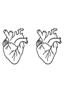 Anatomical Heart 1 by CHANOK — Dingbats Font — thumbnail 8