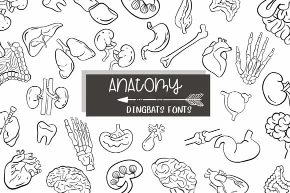 Anatomy by Sirinart — Dingbats Font