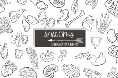 Anatomy by Sirinart — Dingbats Font — thumbnail 1