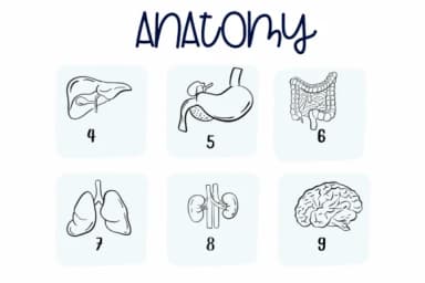 Anatomy by Sirinart — Dingbats Font — thumbnail 4