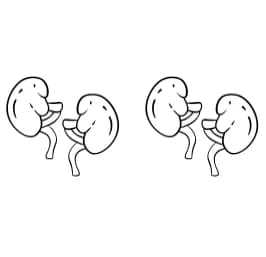 Anatomy by Sirinart — Dingbats Font — thumbnail 7