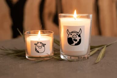 Animal Eggs by Nongyao — Dingbats Font — thumbnail 7