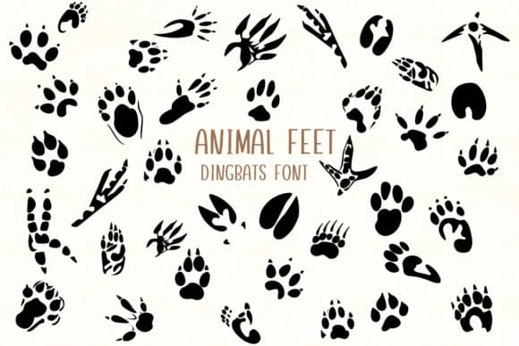 Animal Feet by Nongyao — Dingbats Font
