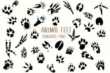 Animal Feet by Nongyao — Dingbats Font — thumbnail 1