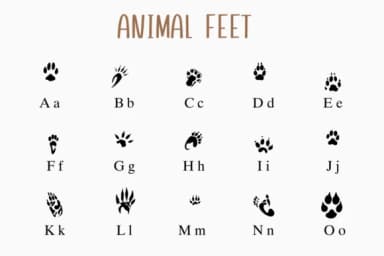 Animal Feet by Nongyao — Dingbats Font — thumbnail 2