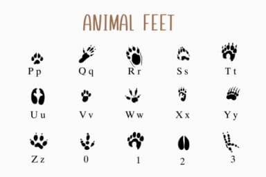 Animal Feet by Nongyao — Dingbats Font — thumbnail 3