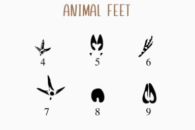Animal Feet by Nongyao — Dingbats Font — thumbnail 4