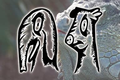 Animality by vladimirnikolic — Dingbats Font — thumbnail 3