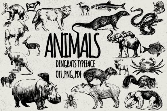 Animals by Minimalistartstudio — Dingbats Font