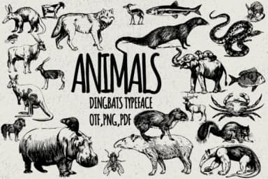 Animals by Minimalistartstudio — Dingbats Font — thumbnail 1