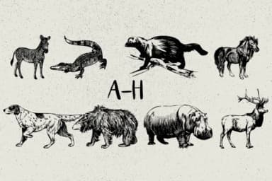 Animals by Minimalistartstudio — Dingbats Font — thumbnail 2