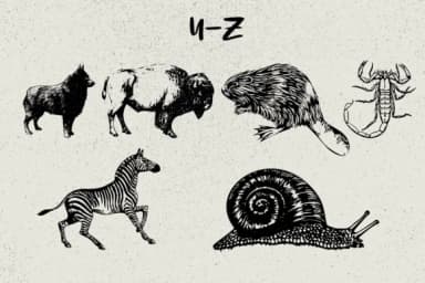 Animals by Minimalistartstudio — Dingbats Font — thumbnail 6