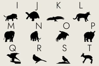 Animals Silhouette by Minimalistartstudio — Dingbats Font — thumbnail 2