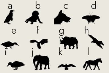 Animals Silhouette by Minimalistartstudio — Dingbats Font — thumbnail 4