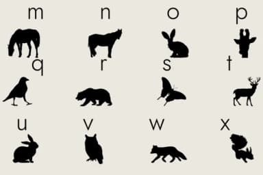Animals Silhouette by Minimalistartstudio — Dingbats Font — thumbnail 5
