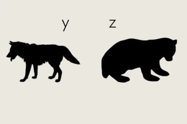 Animals Silhouette by Minimalistartstudio — Dingbats Font — thumbnail 6