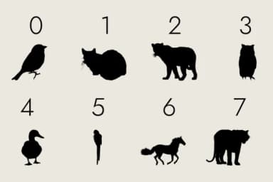 Animals Silhouette by Minimalistartstudio — Dingbats Font — thumbnail 7