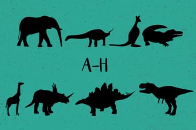 Animals Silhouettes by Minimalistartstudio — Dingbats Font — thumbnail 2