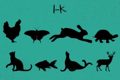 Animals Silhouettes by Minimalistartstudio — Dingbats Font — thumbnail 3