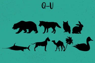 Animals Silhouettes by Minimalistartstudio — Dingbats Font — thumbnail 4