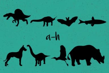 Animals Silhouettes by Minimalistartstudio — Dingbats Font — thumbnail 6