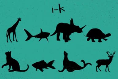 Animals Silhouettes by Minimalistartstudio — Dingbats Font — thumbnail 7